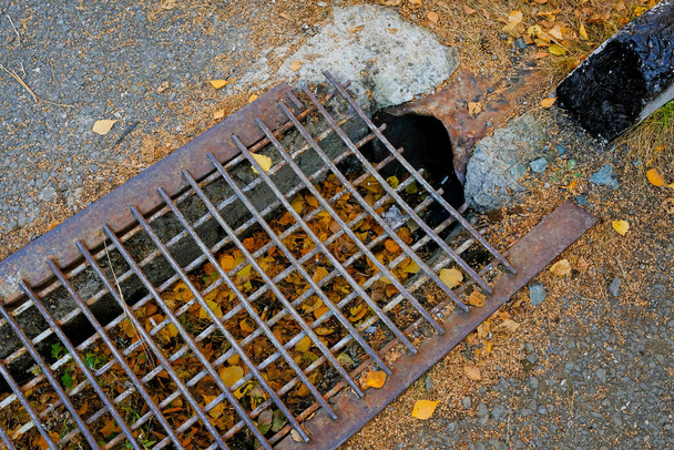 Grille de fer sur le drain pour les tuiles ou l'eau de pluie. Feuilles d'automne, vue de dessus. - Photo, image