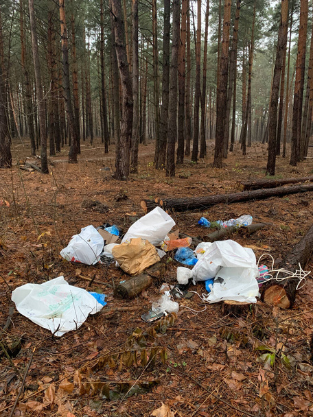 Vuilnisbelt in het bos. Milieuvervuiling. Mensen gooien illegaal afval in het bos. Concept: Illegale dumping in de natuur. - Foto, afbeelding