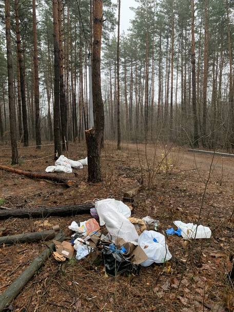 Απορρίμματα σκουπιδιών στο δάσος. Περιβαλλοντική ρύπανση. Οι άνθρωποι πετάνε παράνομα σκουπίδια στο δάσος. Έννοια: Παράνομη απόρριψη στη φύση. - Φωτογραφία, εικόνα