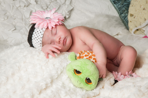 El bebé y la tortuga
 - Foto, Imagen