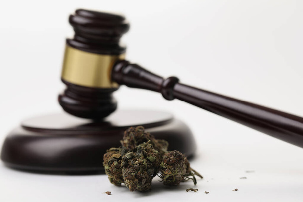 Kannabisznövény bimbók és kalapács, mint a marihuána legalizálásának szimbóluma - Fotó, kép