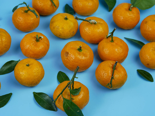 orange ou Citrus sp avec ses feuilles isolées sur fond bleu. fruits sains - Photo, image