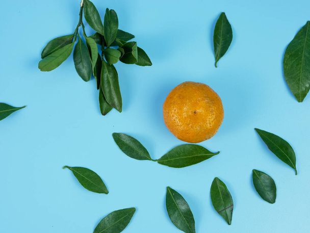 оранжевый или красный сорт с изолированными листьями на синем фоне. здоровые фрукты - Фото, изображение