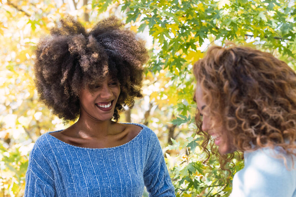 African american woman with afro hairstyle smiling at friend while having fun. Afro black friends with curly hair and blue jumper laughing while having a conversation - Photo, image