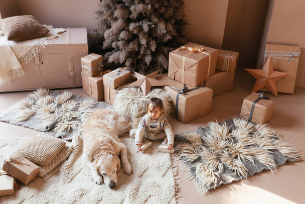 Beautiful baby wearing gender neutral clothes with golden retriever dog  near alternative eco friendly Christmas tree and decorations in pastel  monochrome scandinavian style living room. - Foto, Imagem