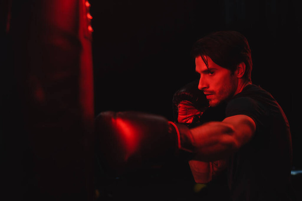 Sportsman in boxing gloves training with punching bag on black background  - Valokuva, kuva