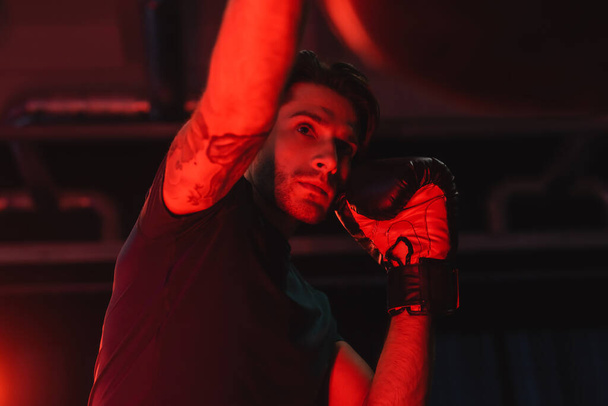 Низкий угол обзора татуированного спортсмена тренировки с боксерской грушей в тренажерном зале с красным светом  - Фото, изображение