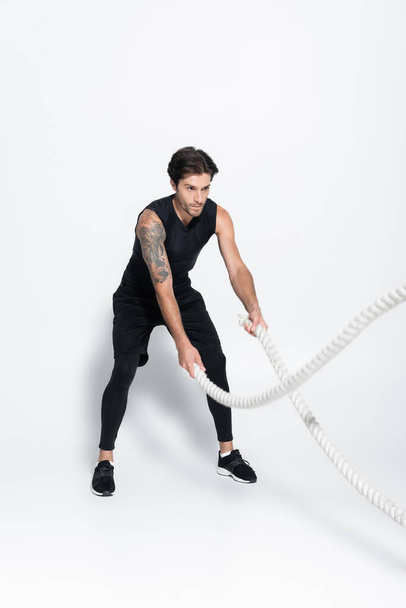 Sportsman working out with battle ropes on grey background  - Photo, image