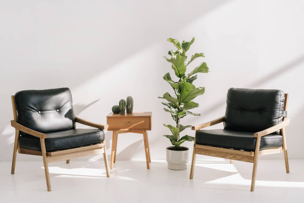 Home decor on side table with drawer standing near two leather armchairs and potted house plants. Recreation, relaxation concept. Wooden table and office chairs in bright copy space living room - Fotoğraf, Görsel