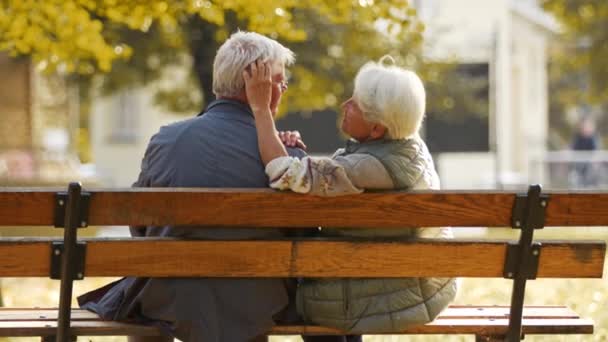 Ένα ηλικιωμένο ζευγάρι κάθεται στον πάγκο στο πάρκο. Γυναίκα χαϊδεύει τα μαλλιά του - Πλάνα, βίντεο