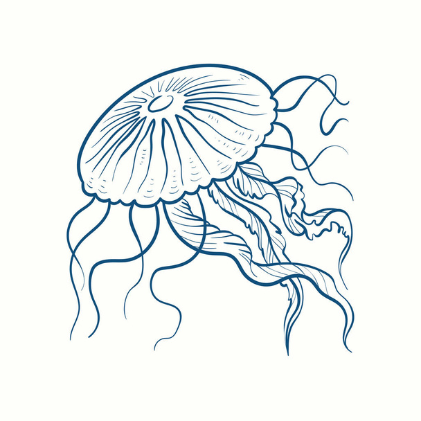 Медуза, нарисованная вручную, реалистична. Природа океана в винтажном стиле.  - Вектор,изображение