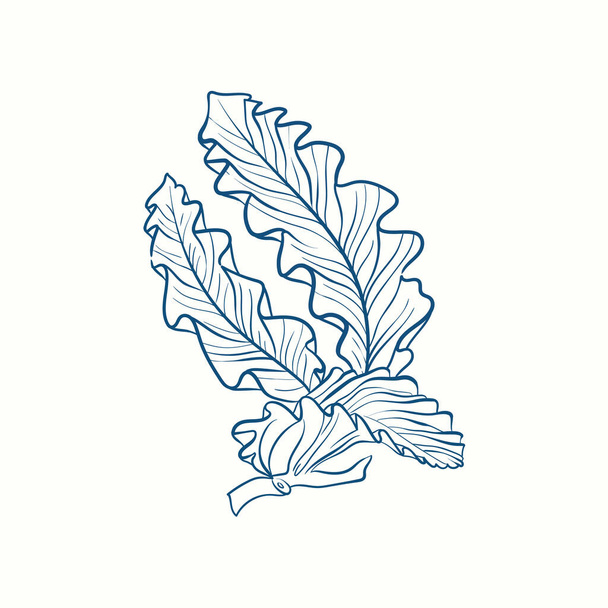Algensilhouetten. Unterwasser-Korallenriff, handgezeichnete Seetang-Pflanze, isolierte Meereskräuter im Freien Ozean. - Vektor, Bild