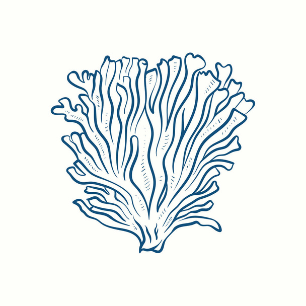 Silhuetas de algas marinhas. Recifes de corais subaquáticos, plantas de algas marinhas desenhadas à mão, ervas daninhas marinhas isoladas oceano ao ar livre. - Vetor, Imagem