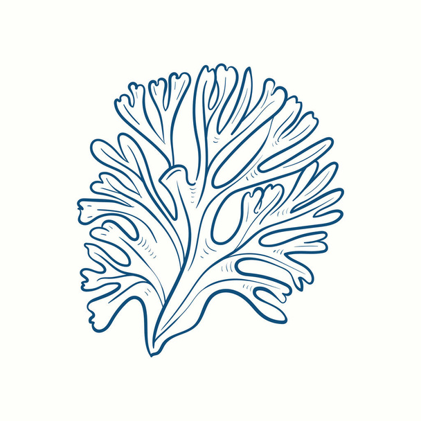 Siluetas de algas marinas. Arrecife de coral submarino, planta de algas marinas extraídas a mano, malezas marinas aisladas océano al aire libre. - Vector, Imagen