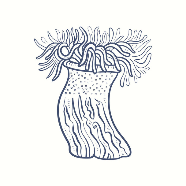 Silhouette di alghe marine. Barriera corallina subacquea, pianta di alghe marine disegnata a mano, erbacce marine isolate oceano all'aperto. - Vettoriali, immagini