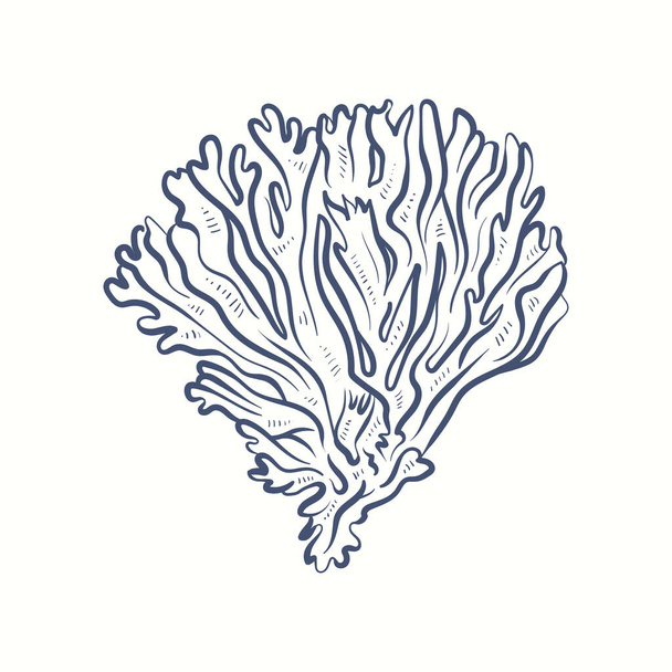 Silhouettes d'algues. Récif corallien sous-marin, plante de varech dessinée à la main, mauvaises herbes marines isolées océan extérieur. - Vecteur, image