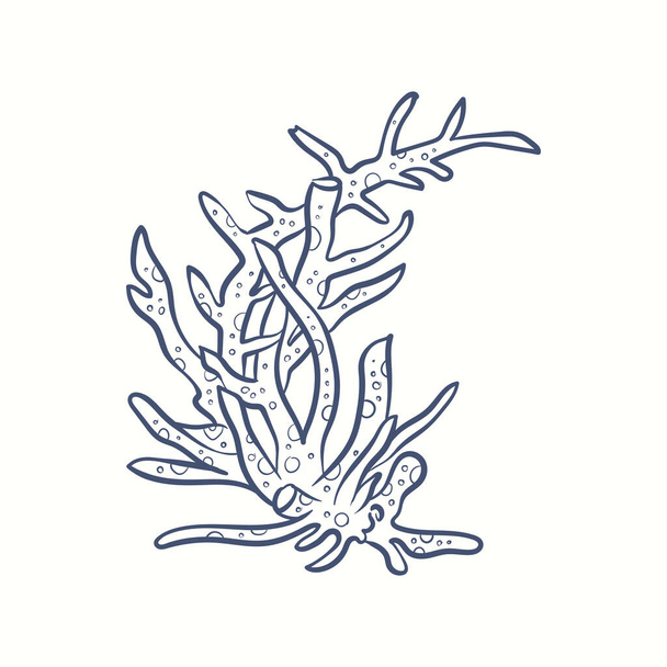 Seaweeds silhouettes. Underwater coral reef, hand drawn sea kelp plant, isolated marine weeds outdoor ocean. - Vector, Image