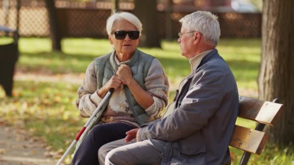 視覚障害者の高齢者の女性は夫と一緒にベンチに座っています。定年退職した夫婦が支え合って - 映像、動画