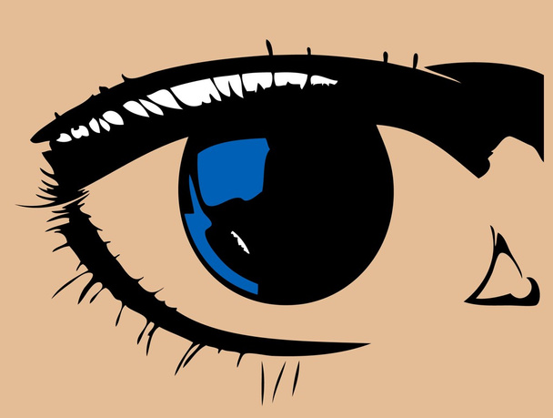 Beautiful female blue eye - Vector, Image