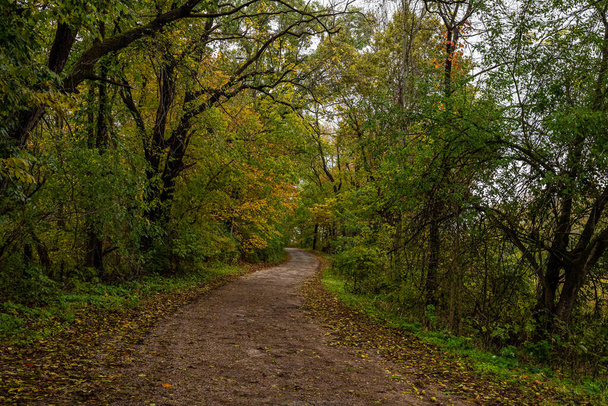 Un camino de asfalto rural en el condado de Parke, Indiana en un día lluvioso durante el cambio de color de la hoja de otoño. - Foto, Imagen