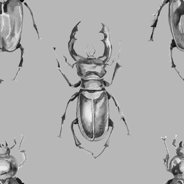 Beetle rhinoceros έντομα φύση δάσος ζώα εντομολογία βιολογία ακουαρέλα εικονογράφηση χέρι ζωγραφισμένα φόντο Patern απρόσκοπτη - Φωτογραφία, εικόνα
