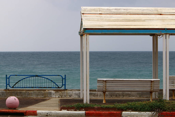 A lombkorona, hogy megvédje a perzselő nap egy városi strand a Földközi-tenger Észak-Izraelben.  - Fotó, kép