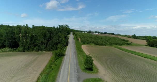 Αεροφωτογραφία, με ένα drone, σε μεγάλο υψόμετρο, και κινείται προς τα πίσω, ενώ κινείται μακριά από το δρομέα και αποκαλύπτοντας το μαγευτικό τοπίο - Πλάνα, βίντεο