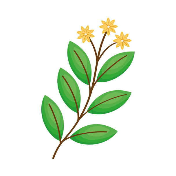 branch with leaves and yellow flowers - Vector, Image