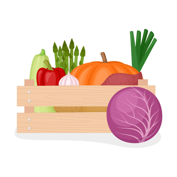 Fresh farm vegetable in wooden box, vector illustration - Wektor, obraz
