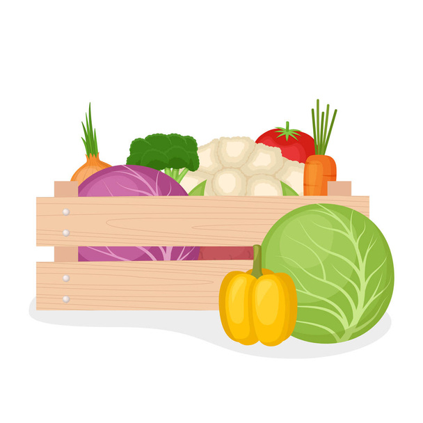 Fresh farm vegetable in wooden box, vector illustration - Вектор,изображение