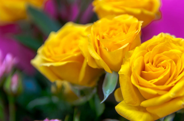 Blumenstrauß aus bunten Rosen in Nahaufnahme als Hintergrund. - Foto, Bild