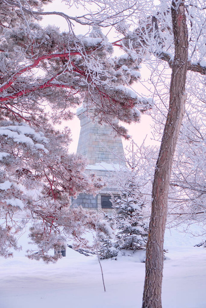 Monumento al Gobernador General de Siberia Oriental Nikolai Nikolaevich Muravyov-Amursky en Jabárovsk por la mañana al amanecer. Hay árboles en la nieve a su alrededor - Foto, Imagen