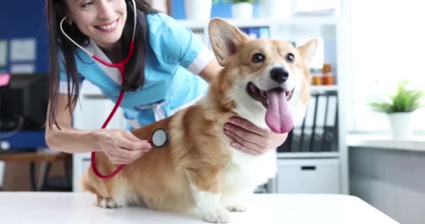 Uśmiechnięta weterynarz słucha stetoskopem psa w klinice weterynaryjnej - Materiał filmowy, wideo