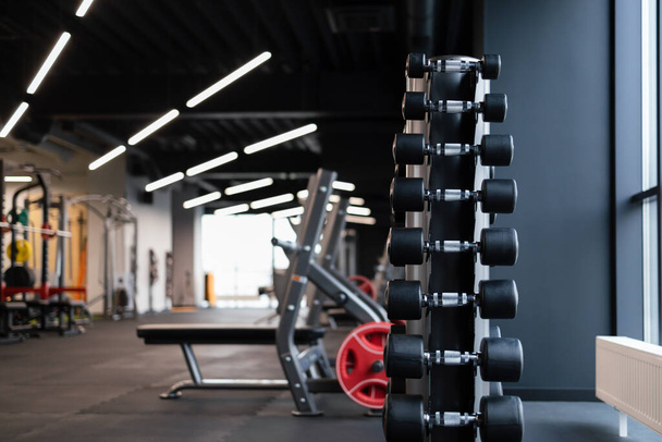 rack vertical avec haltères dans la salle de gym - Photo, image