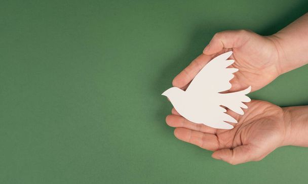 Holding a white dove in the hands, symbol of peace, paper cut out, copy space for text - Foto, Imagen