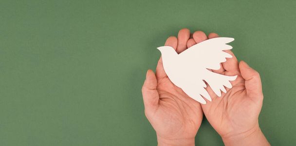 Holding a white dove in the hands, symbol of peace, paper cut out, copy space for text - Foto, Imagem