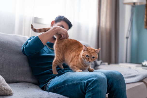 young man sitting on a gray sofa caresses the back of a brown tabby cat - Photo, Image