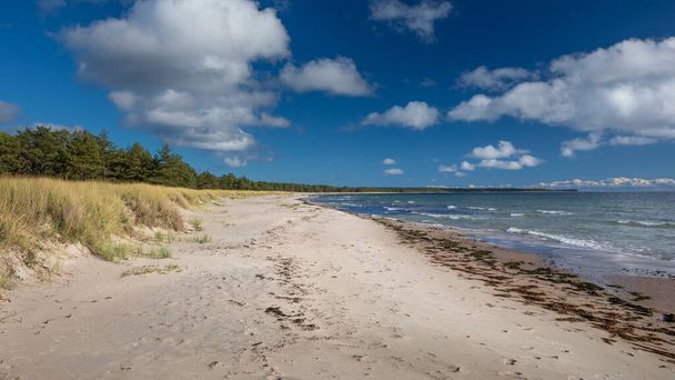 Panorama wybrzeża w Lyckesand plaży z oceanem na wyspie Oland we wschodniej Szwecji - Zdjęcie, obraz