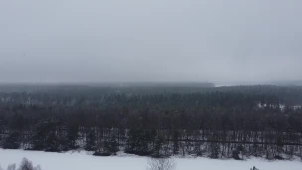 Zugvoegel im Winter fliegen vorbei - Footage, Video