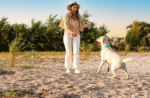 Woman playing with cute Labrador outdoors on summer day - Foto, Imagen