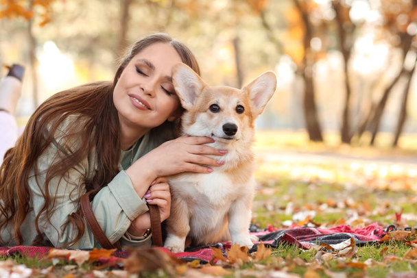 可愛いですコルギ犬と若いです女性で遊んで秋の公園 - 写真・画像