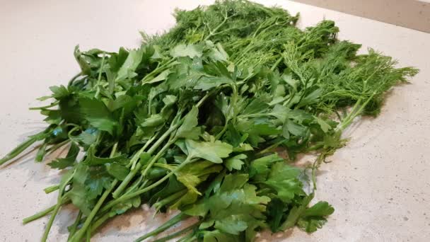 Свіжий підібраний букет зеленого кропу і петрушки сушать на кухні для харчової добавки
 - Кадри, відео