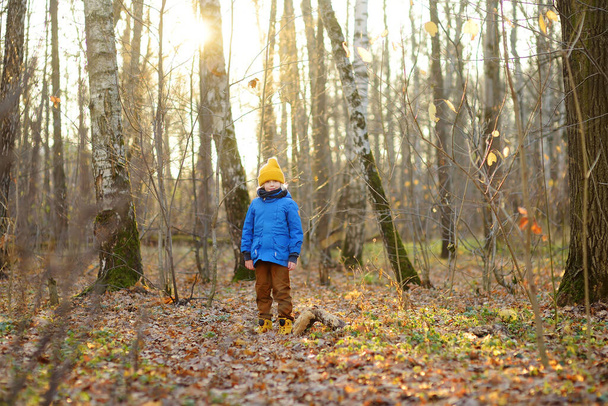 Little boy is hiking in the forest in fall. Child is exploring nature. Kid is playing and having fun on autumn day. Outdoors games for children. - Photo, Image