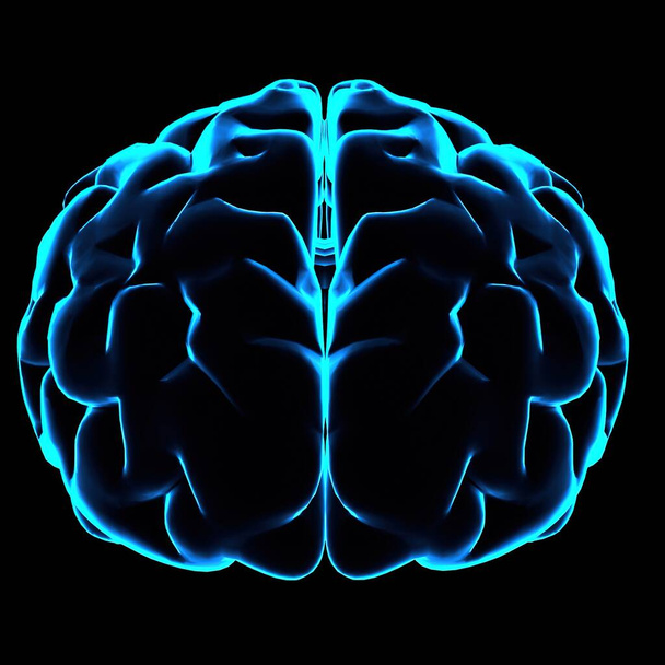 人間の脳の色の3Dイラストで黒の背景に青い輝線がついています - 写真・画像