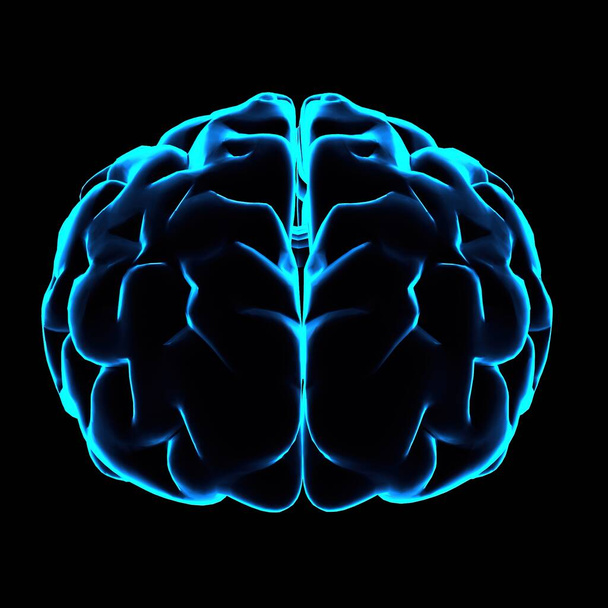 color 3d ilustración del cerebro humano con contornos brillantes azules sobre fondo negro - Foto, imagen