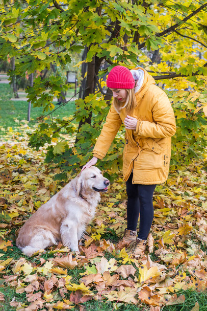 woman in warm clothes with her retriever in an autumn park among yellow leaves. - Foto, afbeelding