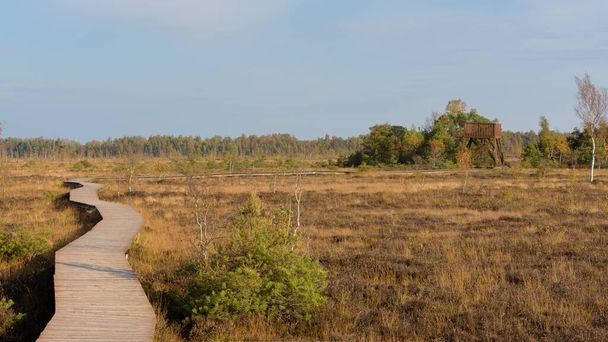 Auktumala moeras - hoog moeras in het stille district, Pommeren. Het is een van de grootste wetlands, niet alleen in West-Litouwen, maar ook in heel Litouwen. Verbazingwekkende ongerepte natuur. - Foto, afbeelding