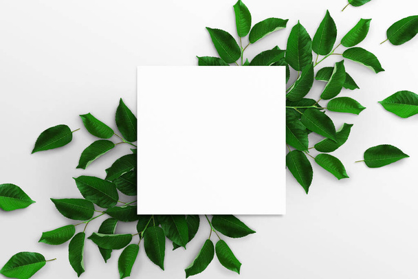 Zweige mit grünen Blättern und leerem weißen quadratischen Aquarellpapier auf weißem Hintergrund. Werbetafel, Plakatattrappe für Ihren Entwurf. Flache Lage, Draufsicht, Kopierraum - Foto, Bild