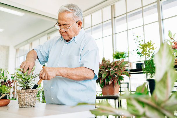 Asian retired grandfathers love to take care of the plants by scooping the soil in preparation for planting trees. Retirement activities. - Photo, Image