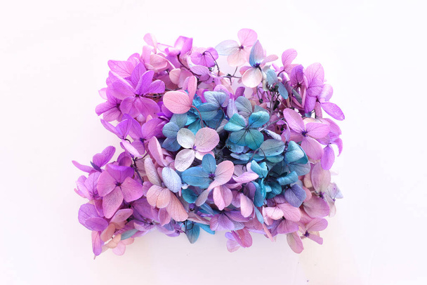 Creative image of pastel pink, turquoise and purple Hydrangea flowers on white background. Top view - Fotoğraf, Görsel